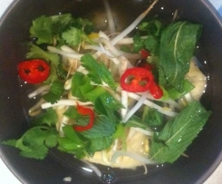 Chinese beef and dumpling soup