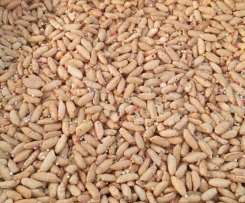 LCM - adapted from Sarah Wilson, I Quit Sugar