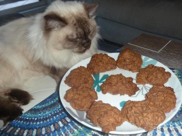 Thermo-cat Jemima's Eva Cookies