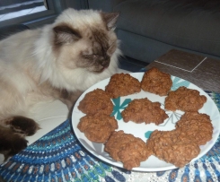 Thermo-cat Jemima's Eva Cookies