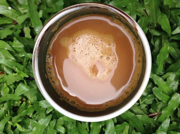 Immunity Boosting Hot Chocolate by Dani Spies