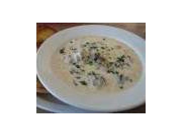 BLUFF OYSTER SOUP