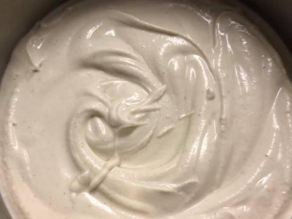 Coconut Yoghurt (GF, DF, RSF)