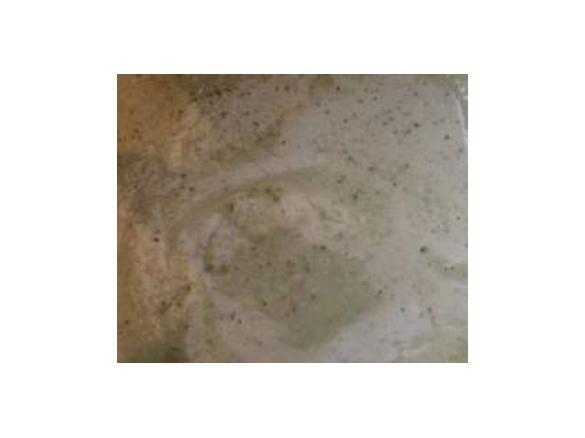 BASIL & SAGE PESTO CREAMY SAUCE