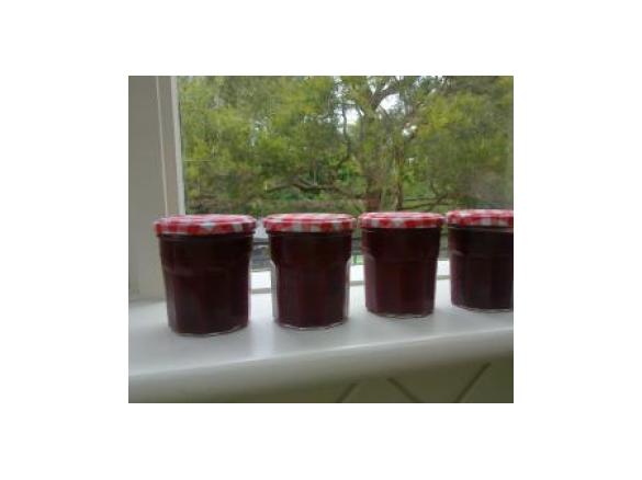 Plum Chutney