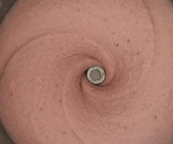 Delish Strawberry Gelato - Egg & Gluten Free