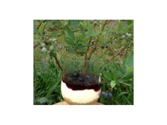 Blueberry Cheesecake dessert