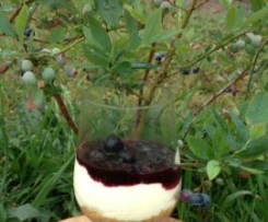 Blueberry Cheesecake dessert