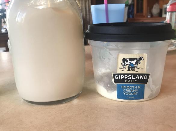 Gippsland dairy yoghurt clone