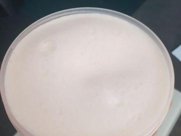 Our flexible and favourite yoghurt (Easiyo set method)