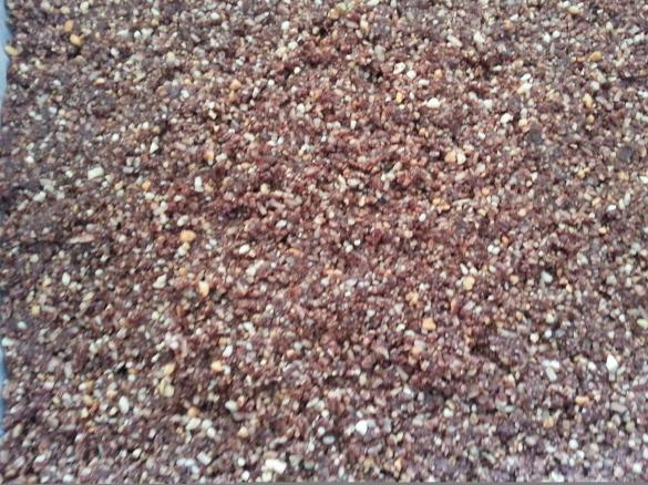 Paleo Energy Bars - Cloned Energy Bars