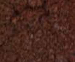 Egg & Dairy Free Choc Muffins