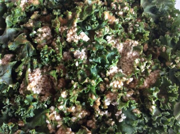 Kale Tahini Salad