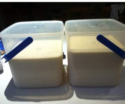Bulk, Catering Quantity(12L) Pancake Batter