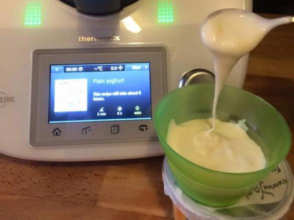 Easy TM5 Honey Yoghurt