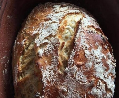 GF Honey and Sunflower Bread