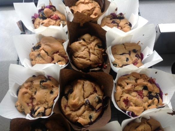 Yummy Blueberry Muffins