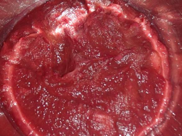 Grandma wade's apple and rhubarb fruit stew 