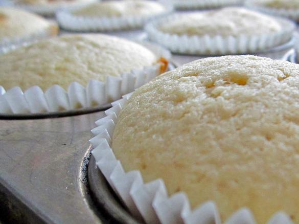 Clone of Vanilla 'Magic Bean' Cake