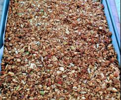 Paleo Granola