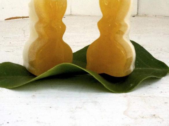 Probiotic Jellies? YES! - Back to School Healthy Lunchbox Treat