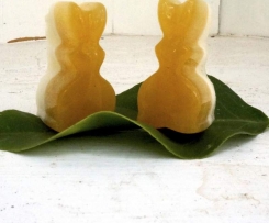 Probiotic Jellies? YES! - Back to School Healthy Lunchbox Treat