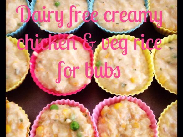 Dairy Free Creamy Chicken and Veg Rice For Bubs