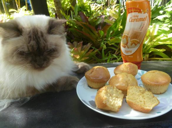 Thermo-cat Jemima's Caramel Muffins