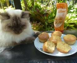 Thermo-cat Jemima's Caramel Muffins