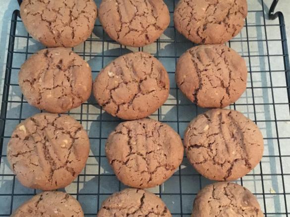 Chocolate peanut butter biscuits