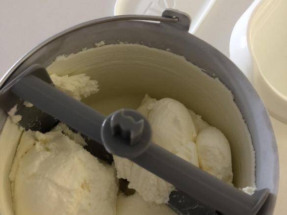 Janny’s Low Carb Coconut Ice Cream (LCHF)