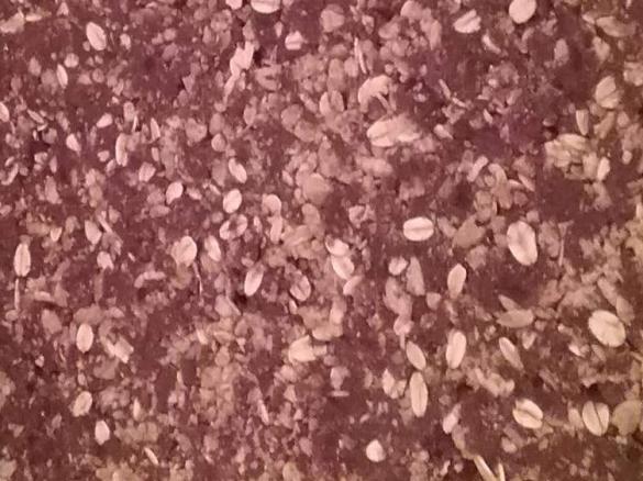 Nutfree Muesli Slice