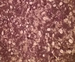 Nutfree Muesli Slice