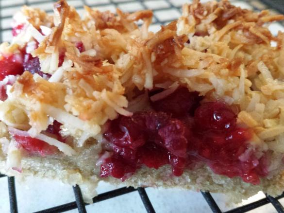 Raspberry Coconut Slice (gluten free)