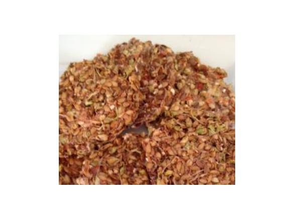 RAW Sprouted Crackers