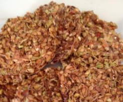 RAW Sprouted Crackers