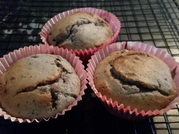 Blueberry smoothie muffins