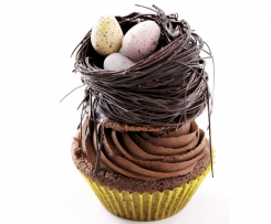Chocolate Cupcakes decorated with a chocolate nest and Easter eggs