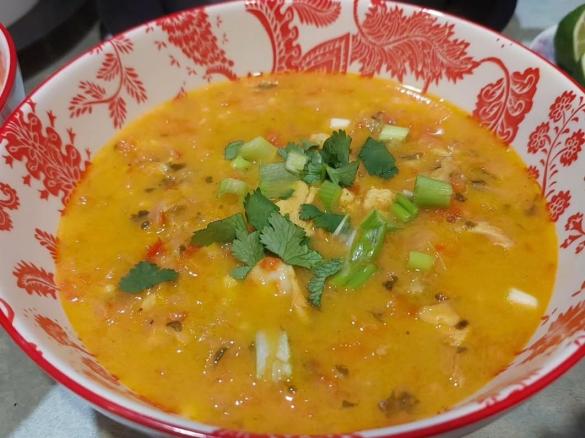 Healthy  Chicken and  Vegetable  Soup