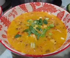 Healthy  Chicken and  Vegetable  Soup