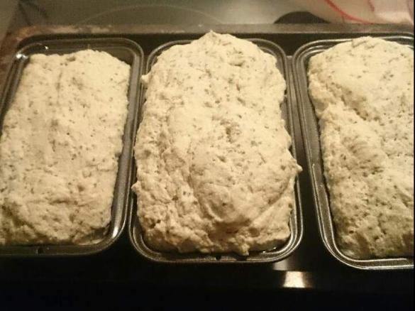 Quinoa and Chia Seed GF bread