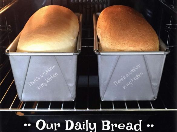 Our Daily Bread TM6 TM5 & TM31 White Bread  Loaf