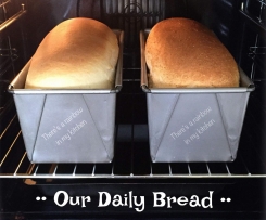 Our Daily Bread TM6 TM5 & TM31 White Bread  Loaf