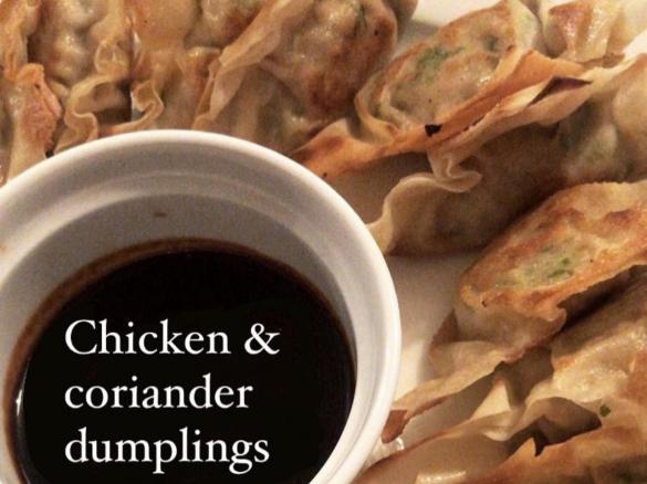 Chicken & Coriander Dumplings