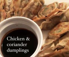Chicken & Coriander Dumplings