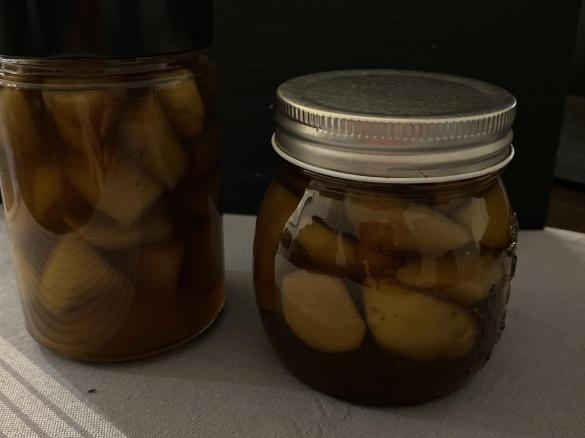 Stem ginger in Syrup