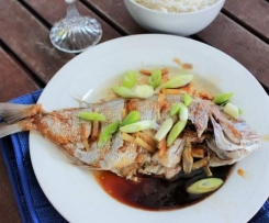 Ginger Soy Snapper