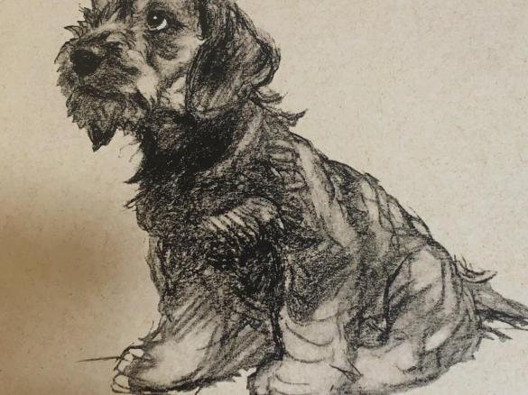 Dads Sunday night Double chocolate self saucing pudding