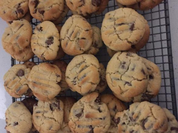 Chocolate Chip Biscuits