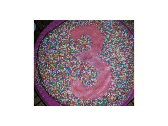 Egg Free and Dairy Free Chocolate Cake